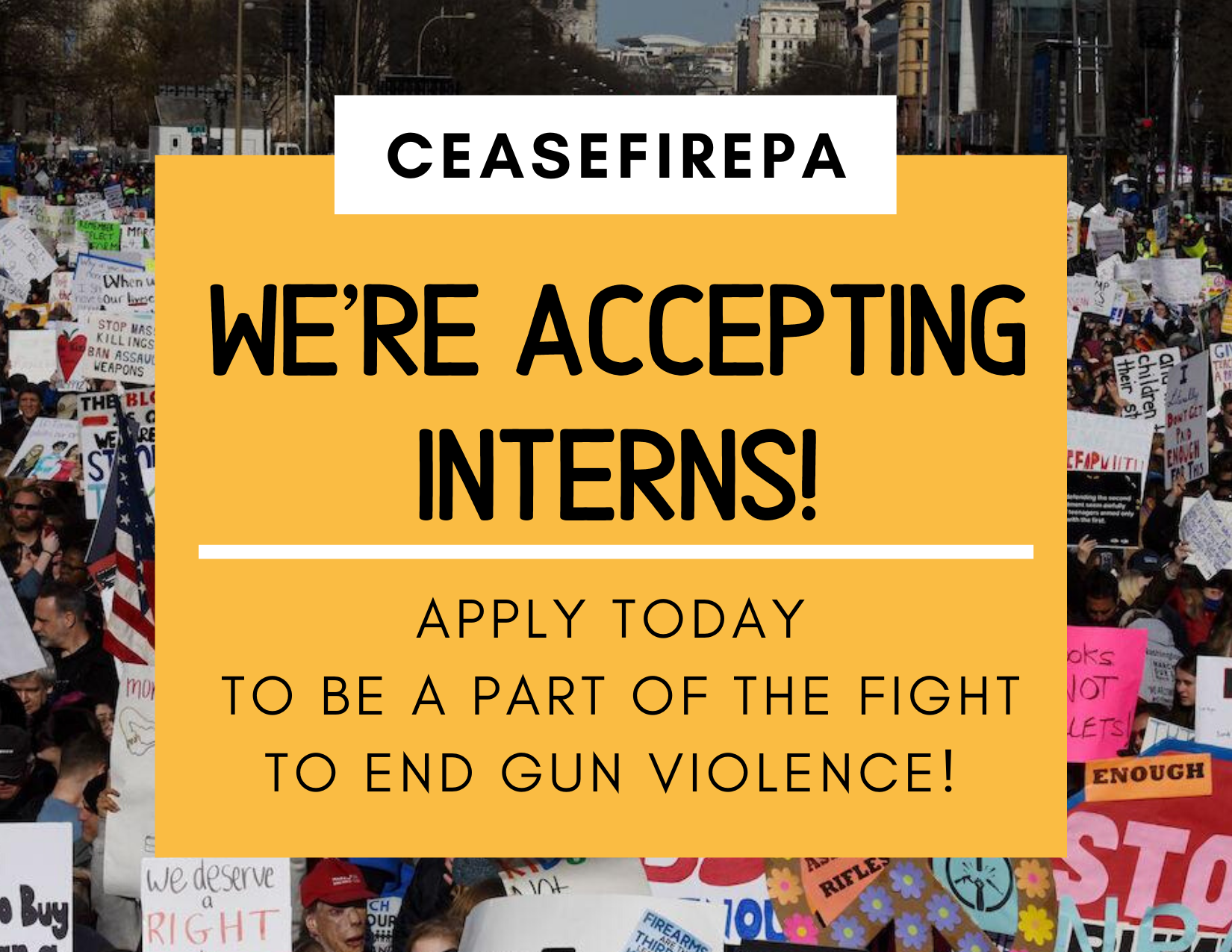 CeaseFirePA Internships